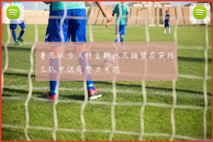 鲁尼认为沃特金斯托尼梅努在英格兰队中仍有潜力可挖